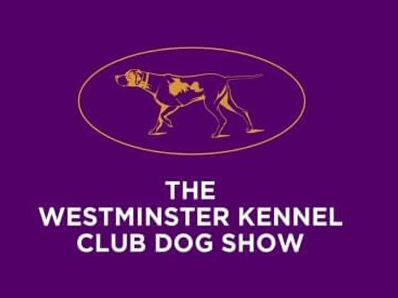 Westminster Kennel Club Dog Show